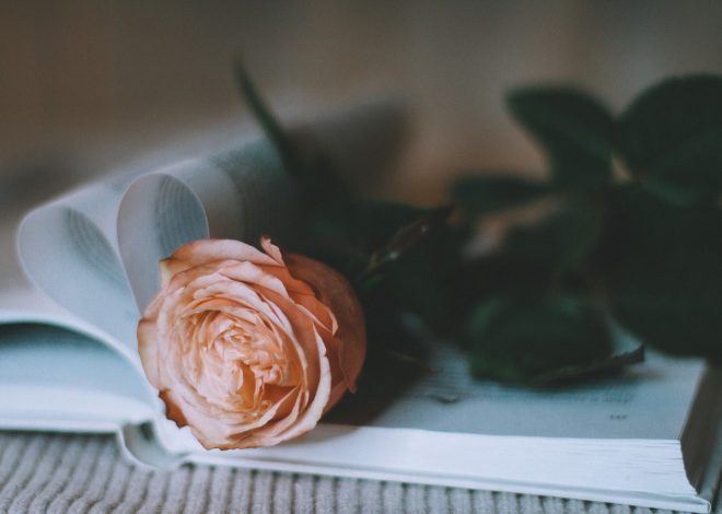 10 Thoughtful DIY Gift Ideas for Mom That She’ll Cherish