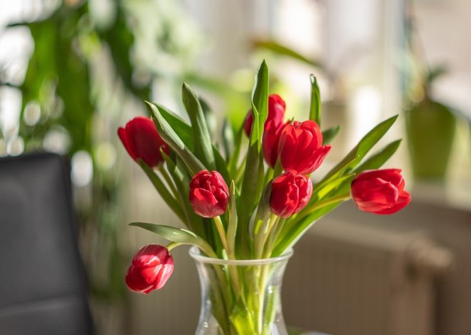 Elevate Your Living Area: Home Decor Projects You Can Do This Weekend