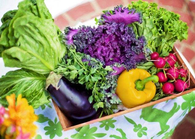 Essential Gardening Tips for Beginners