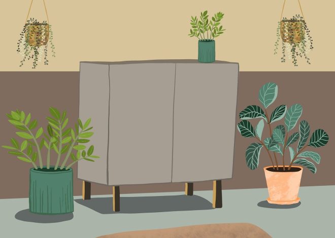 Essential Home Organization Tips for Every Room in Your House
