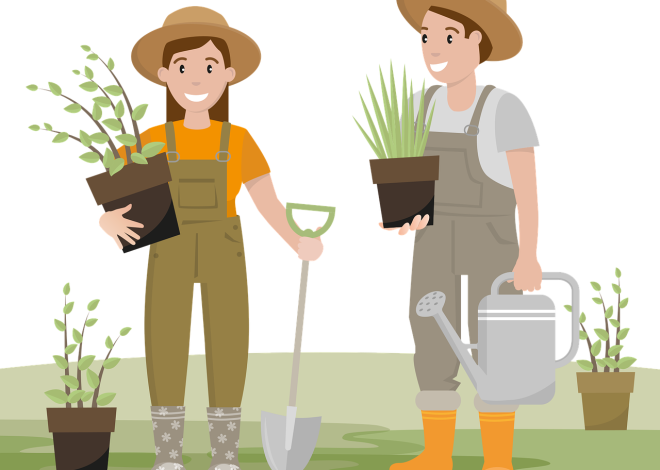 Seasonal Gardening Tips for Year-Round Success