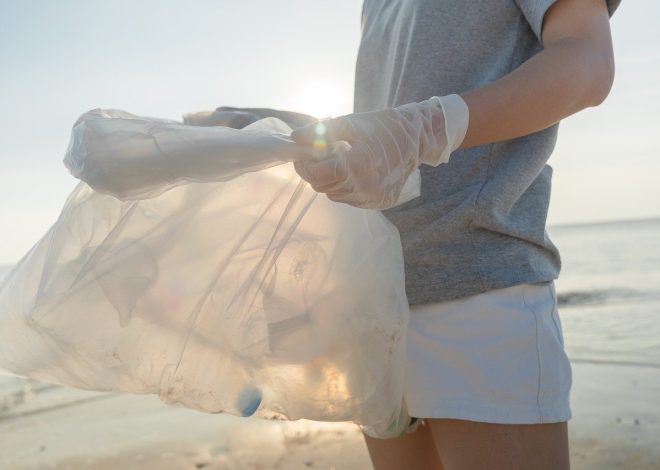 Top 10 Creative Recycling Projects for a Sustainable Future