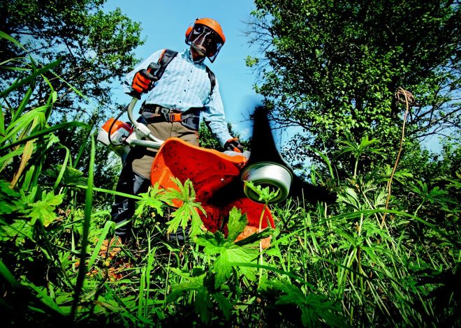 Top 10 Gardening Tips to Boost Your Harvest