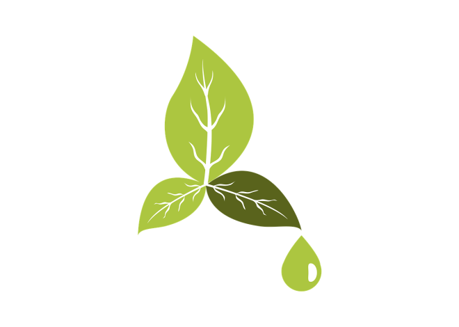 Top 10 Innovative Eco-Friendly Projects You Can Start Today