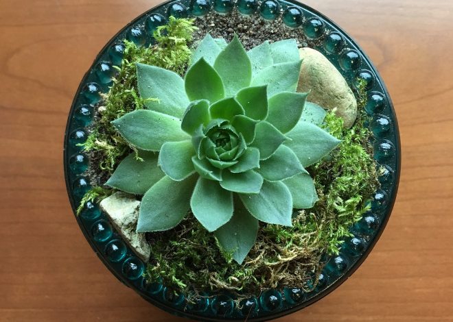 Transforming Trash: Innovative Ideas for Repurposing Old Items