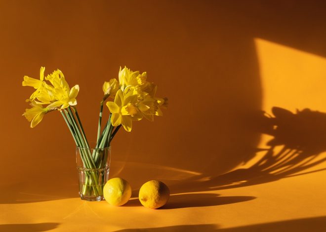 10 Inspiring Home Decor Ideas to Transform Your Space
