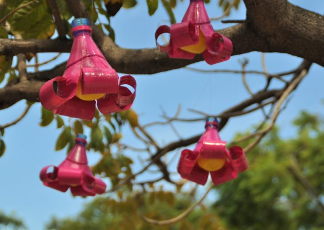 Innovative Upcycling Ideas: Turning Trash into Treasure