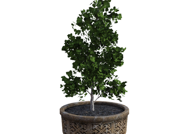 Top 10 DIY Planter Ideas for Your Home